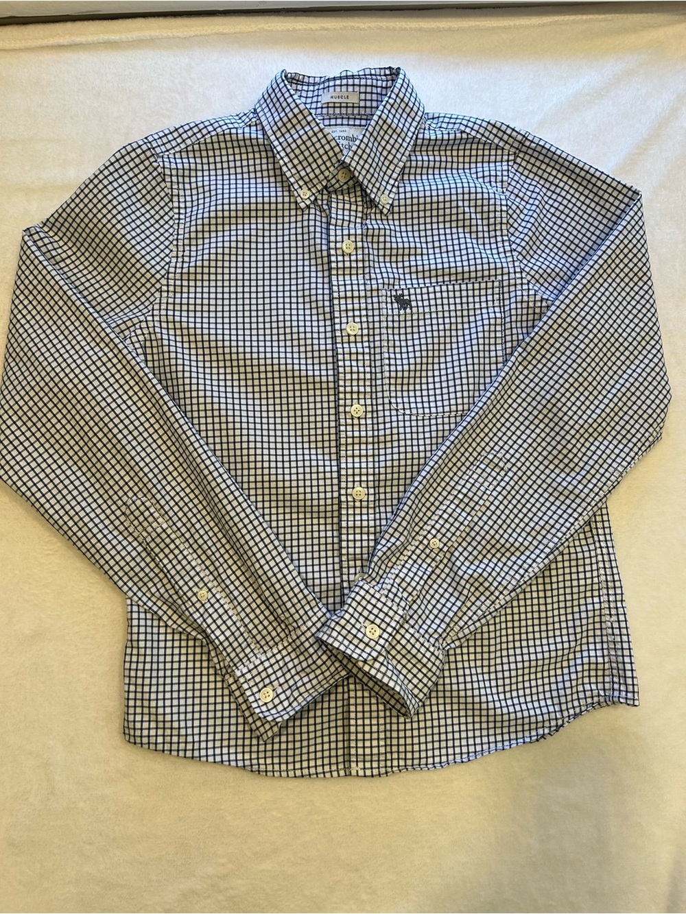Abercrombie & Fitch Boys S Muscle Fit Blue White Check Button Down Shirt